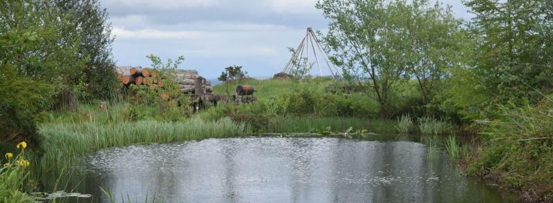 Marthrown Of Mabie — photo 2