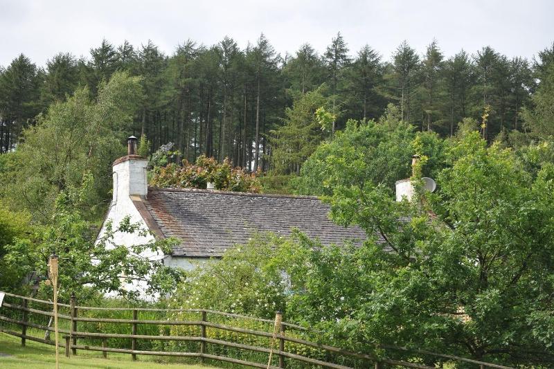 Marthrown Of Mabie — photo 3