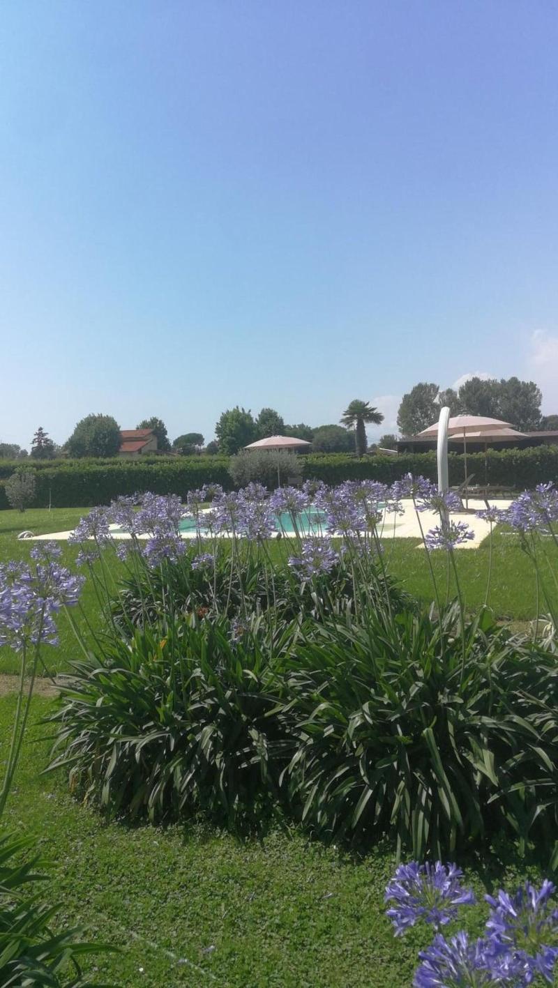 La Campagnola — photo 5