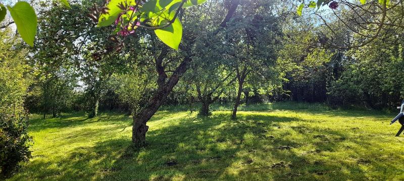 Domaine Pastel — photo 2