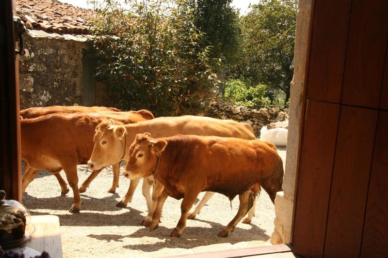 Casa Camino Turismo Rural image