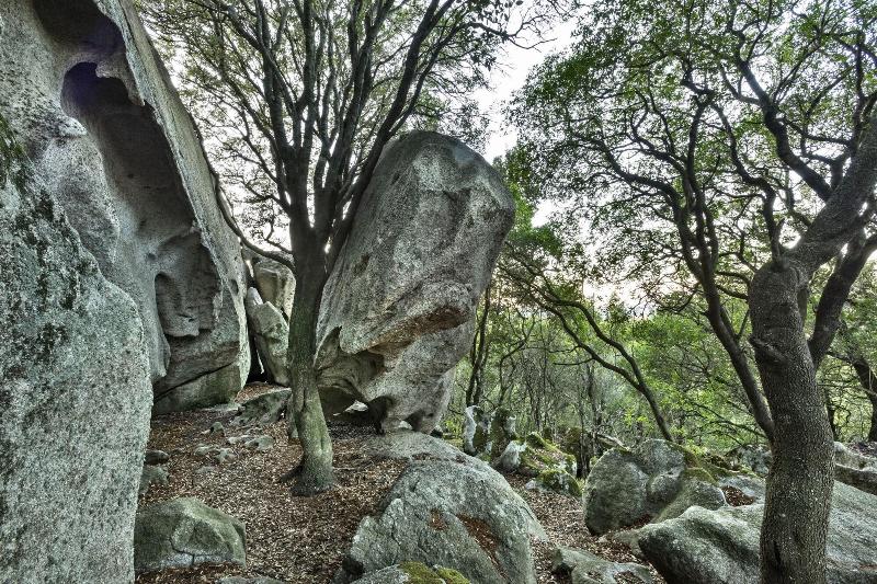 Gallicantu Stazzo Retreat image