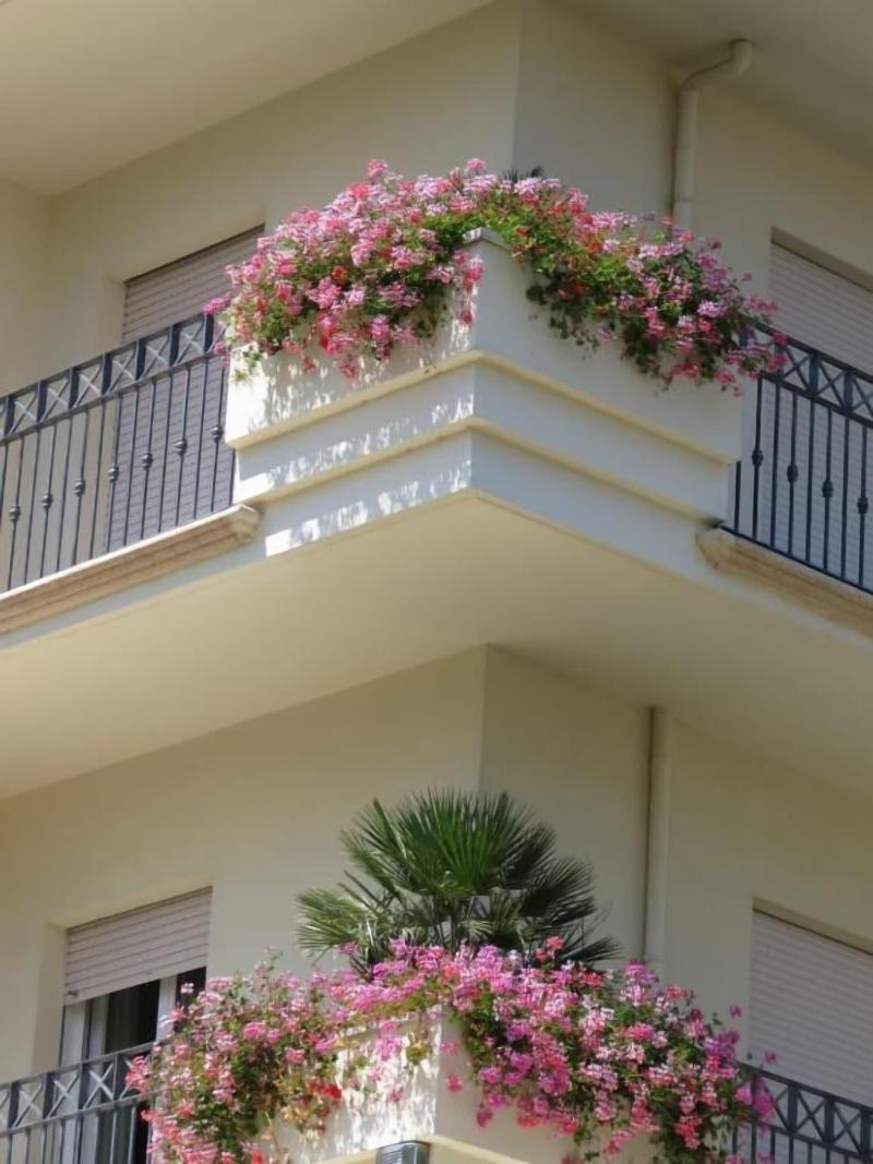 Hotel Luciana image
