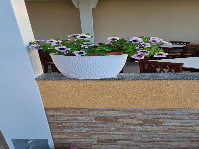B&B Villa Eleonora image