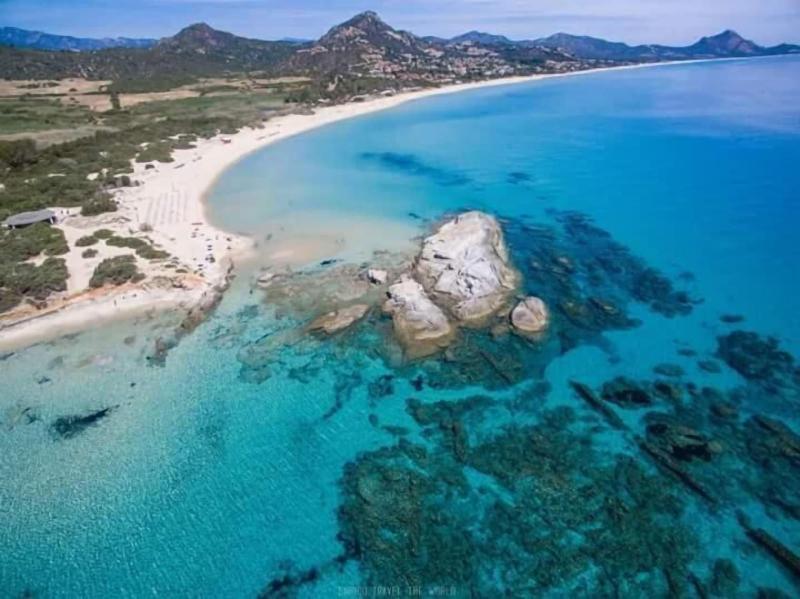 I Fenicotteri image