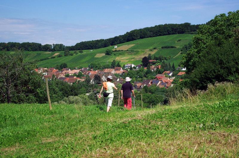 Landhotel Bohrerhof image