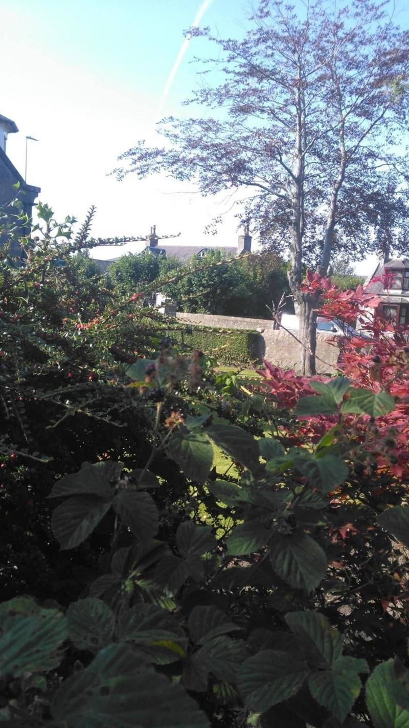 Granville guest house image