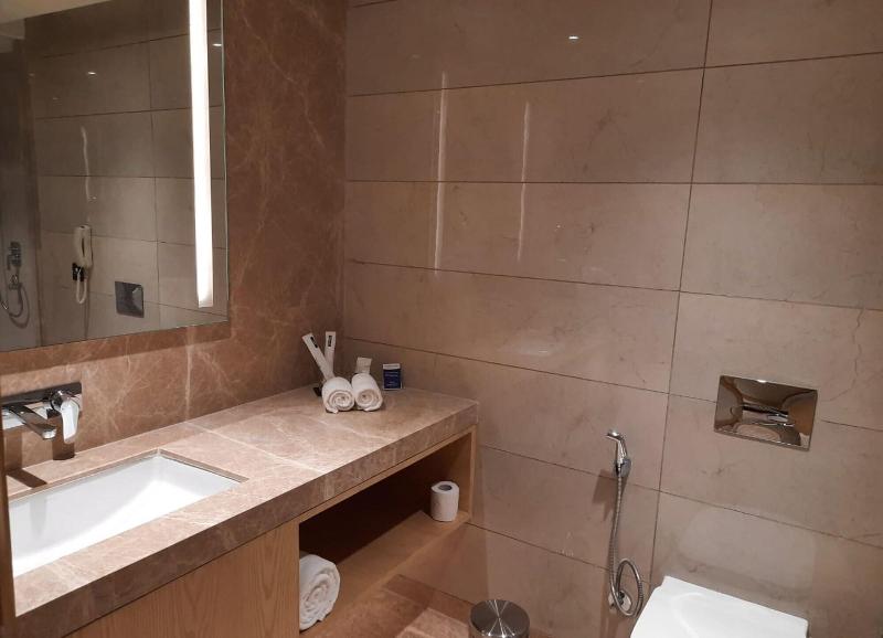 The Gaurs Sarovar Portico image