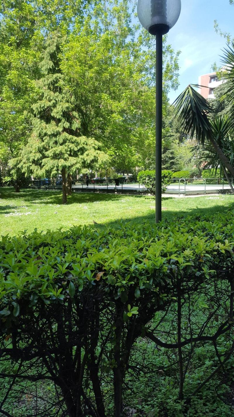 Stanza sempre verde — main photo