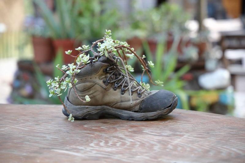 Simurg Evleri Olympos — photo 79