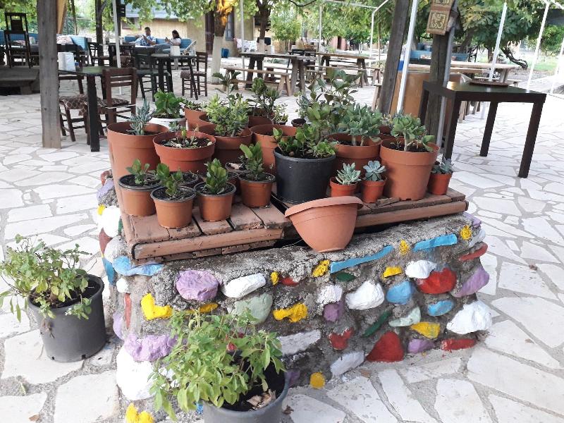 Simurg Evleri Olympos — photo 68