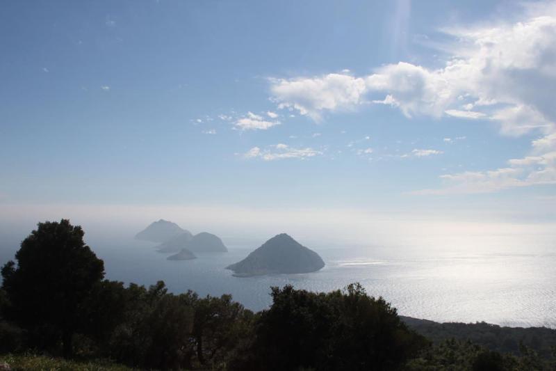 Simurg Evleri Olympos — photo 27