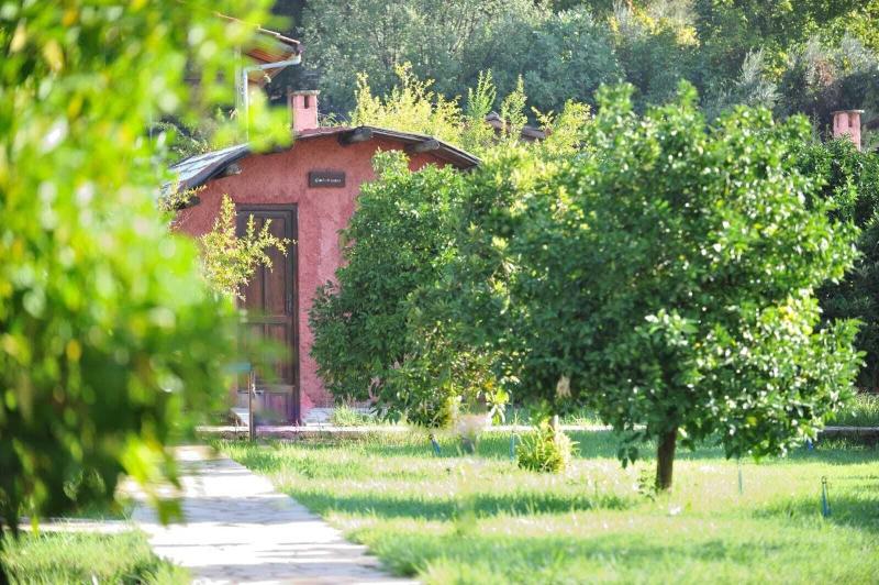 Simurg Evleri Olympos — photo 28
