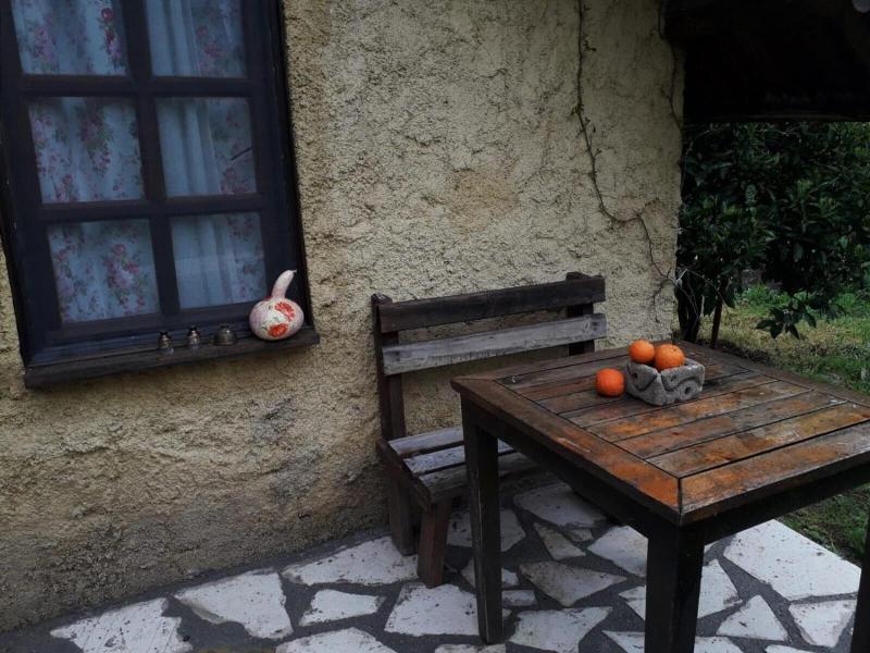Simurg Evleri Olympos — photo 73
