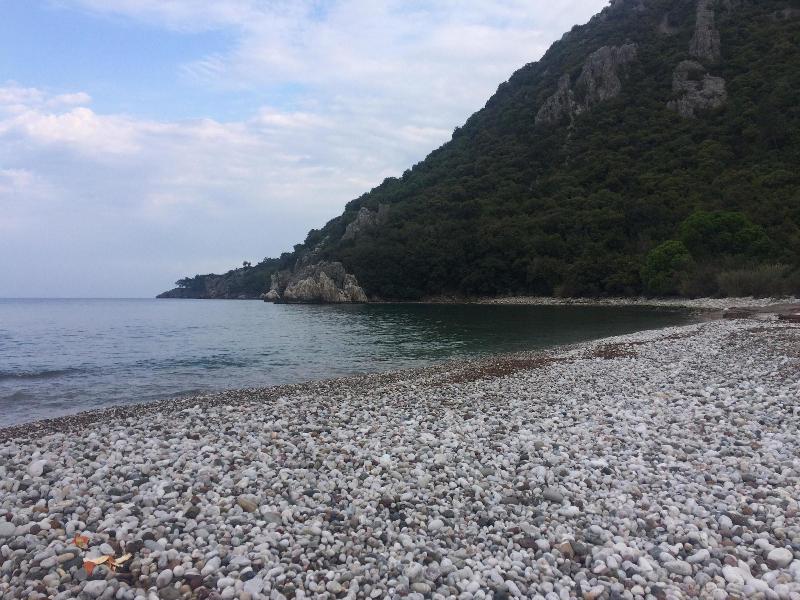 Simurg Evleri Olympos — photo 33