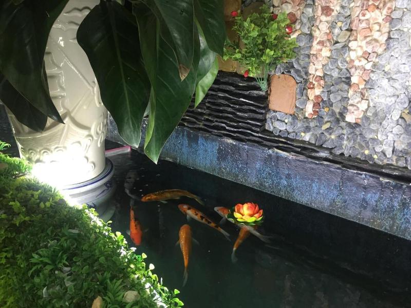 Anh Thao Hotel image