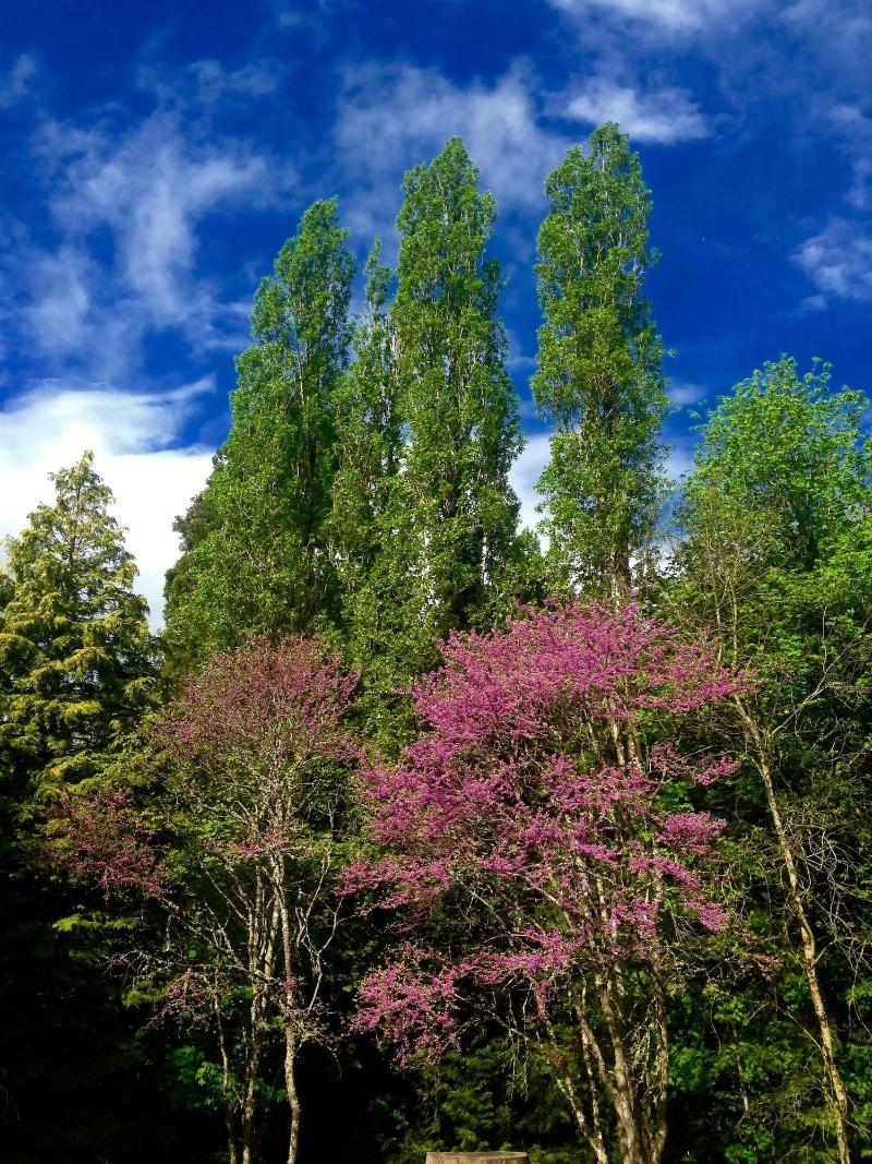 Domaine de l'Ocrerie image