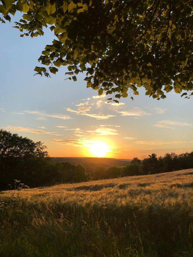 Domaine de l'Ocrerie image