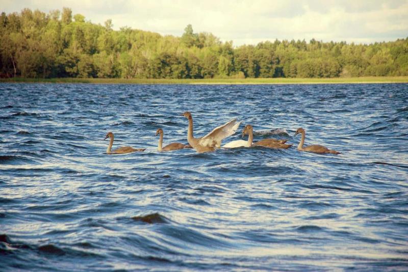KallhÃ¤llsbaden Vandrarhem image