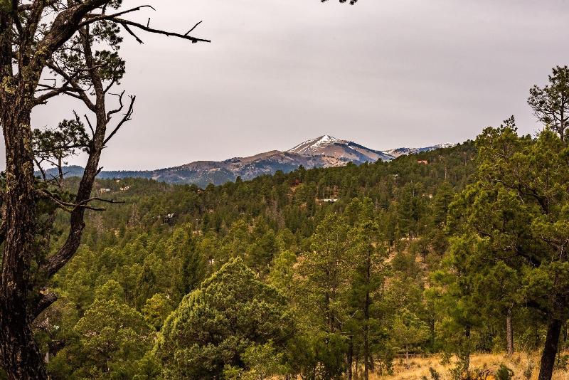 411starlightmtncb - Starlight Cabin — photo 3