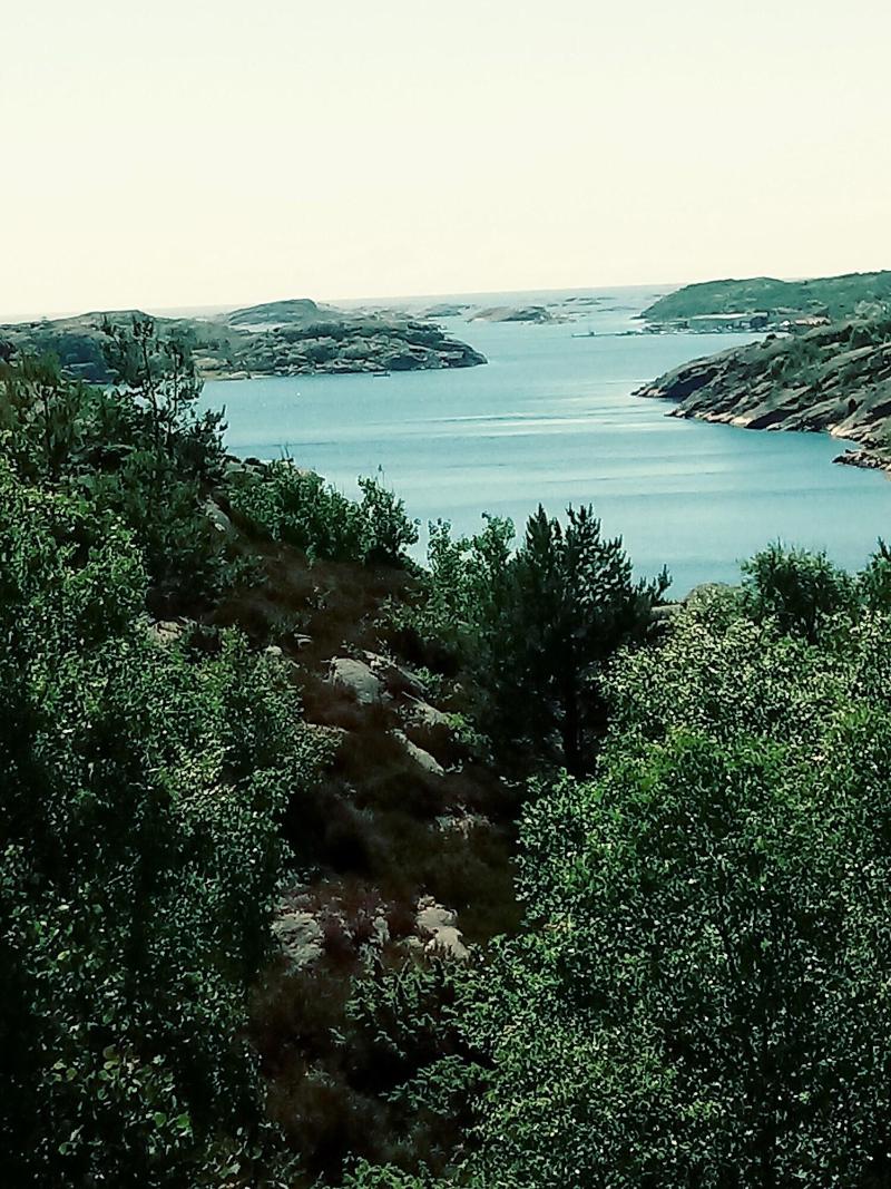 Hem Till Bengt image