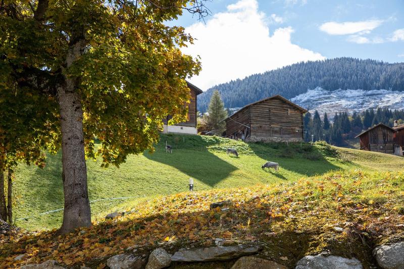 Alpenlodge Val Gronda image