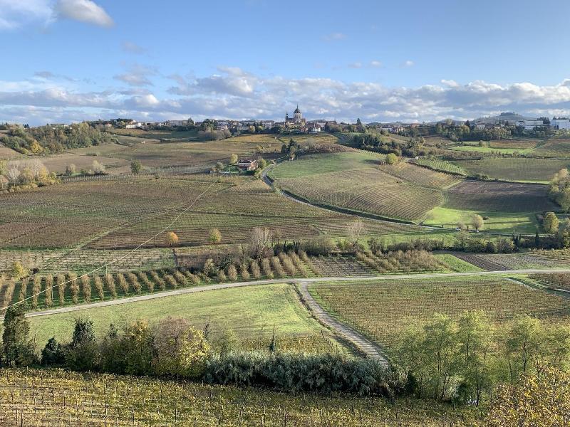 Laficaia Wine Resort image