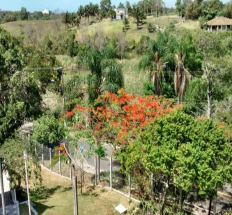 Village dos PÃ¡ssaros image