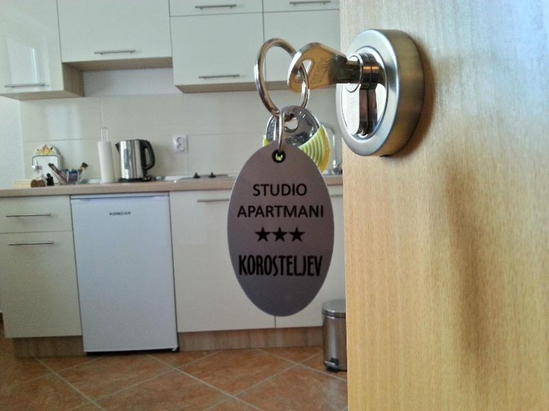 Studio Apartments Korosteljev image