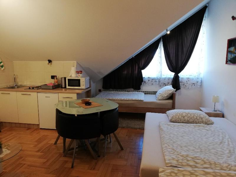 Studio Apartments Korosteljev image