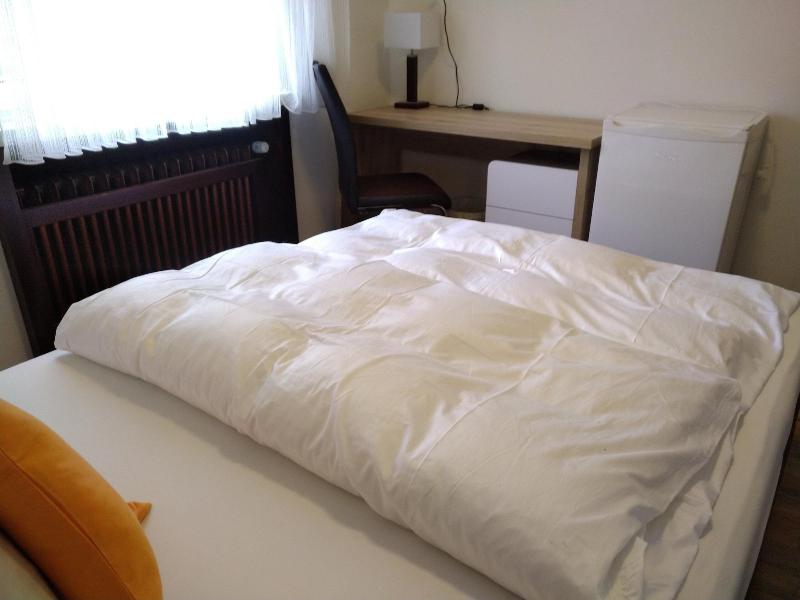 Hotel Zentrum image