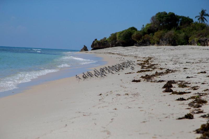The Coconut Beach Boutique Lodge & Spa image