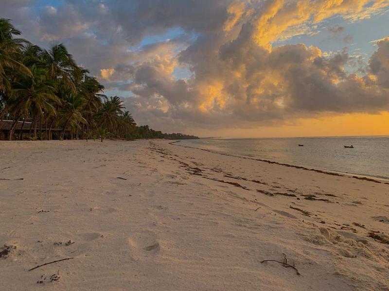 The Coconut Beach Boutique Lodge & Spa image