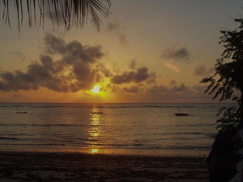 The Coconut Beach Boutique Lodge & Spa image