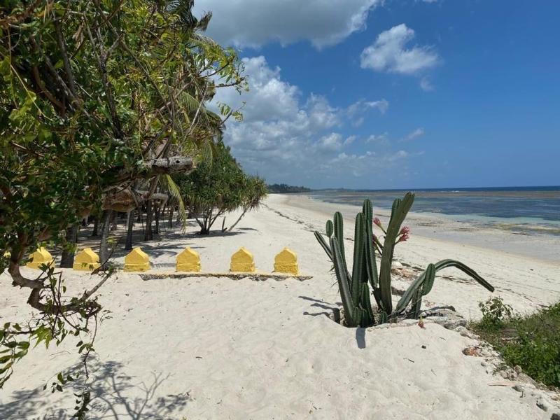 The Coconut Beach Boutique Lodge & Spa image
