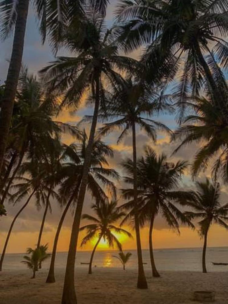 The Coconut Beach Boutique Lodge & Spa image