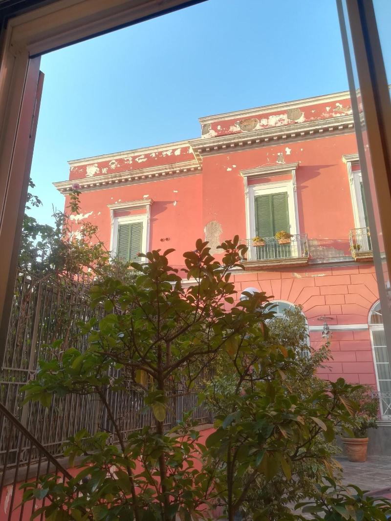 B-Montedidio image