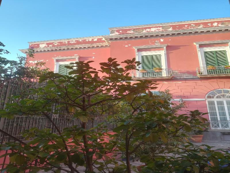B-Montedidio image