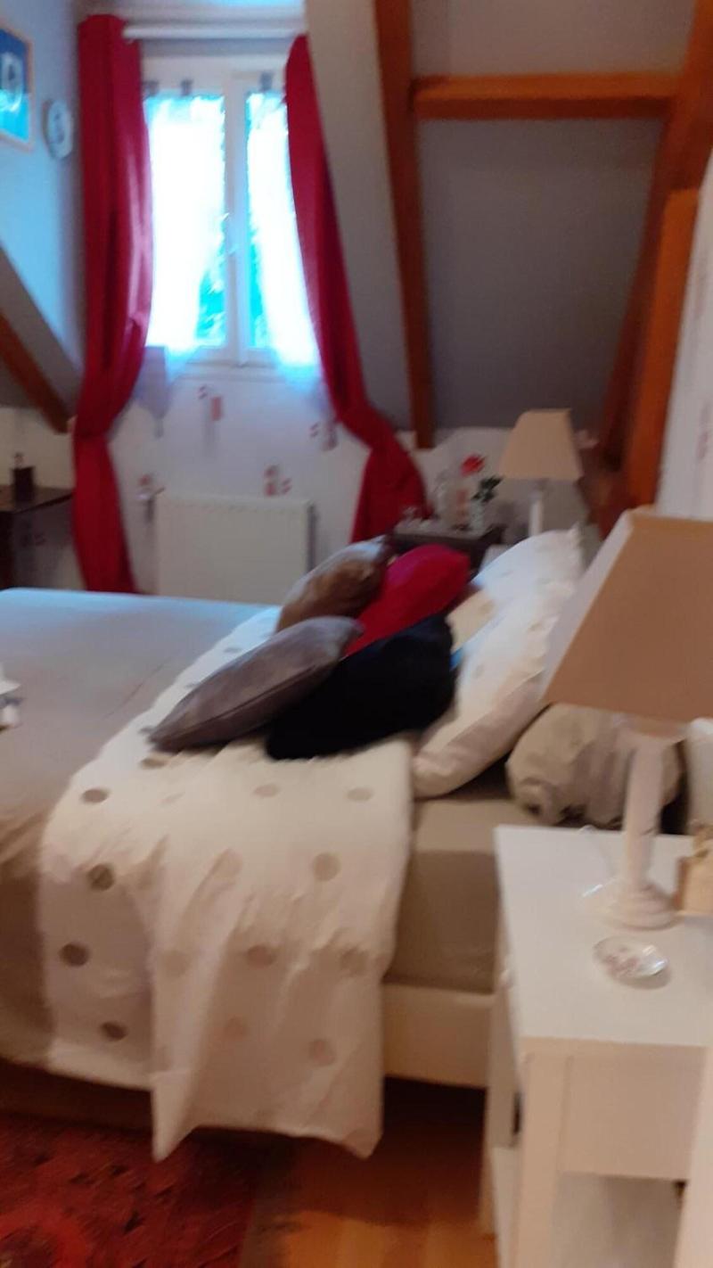 Chambre dans une maison pleine de vie image