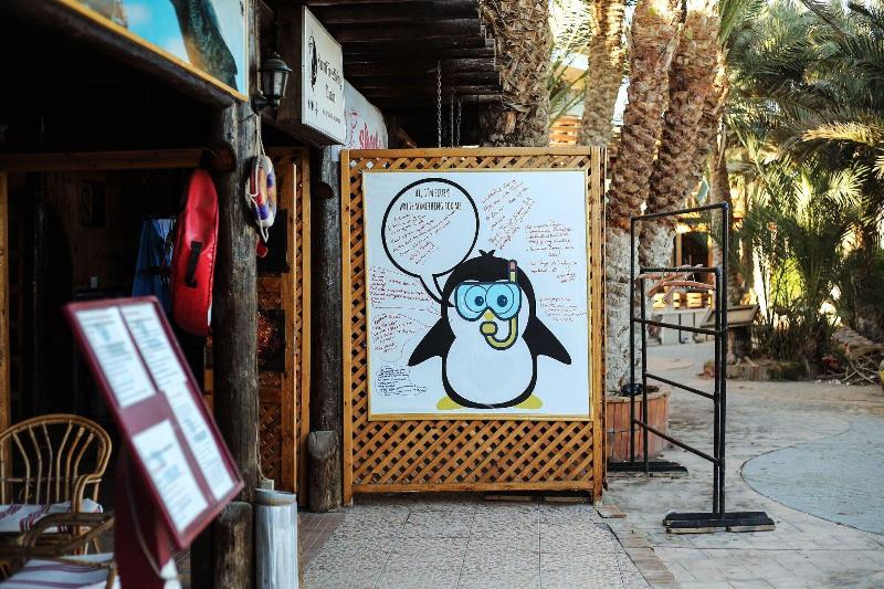 Penguin Village Dahab