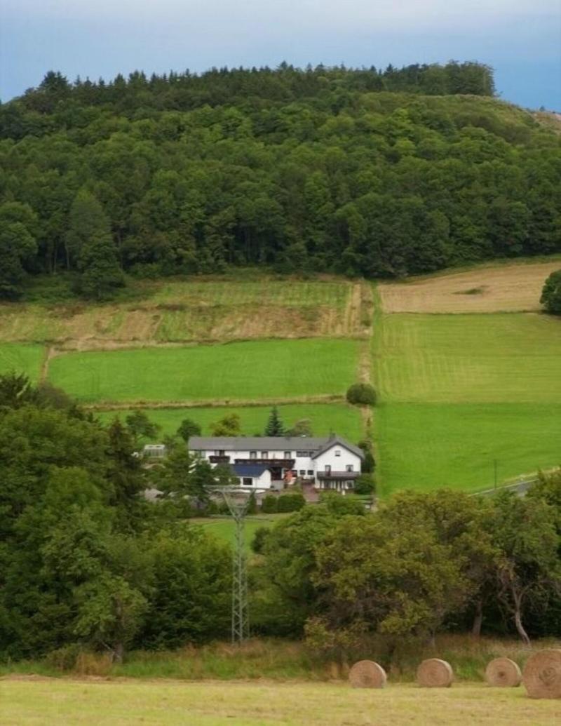 Pension Haus Liesertal image