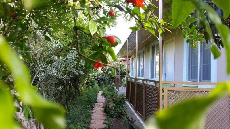 Olympos Oase Hotel — general view