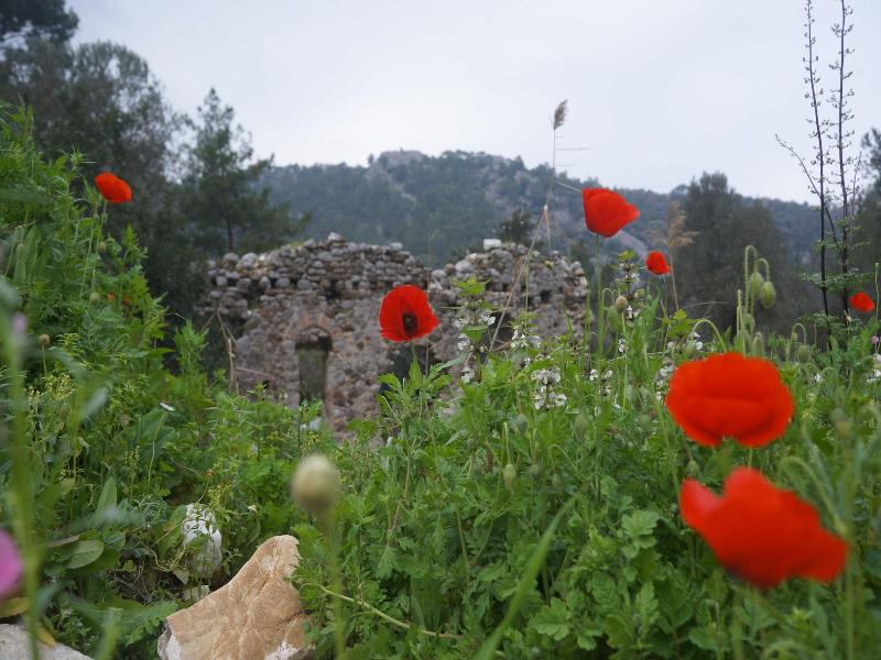 Olympos Oase Hotel