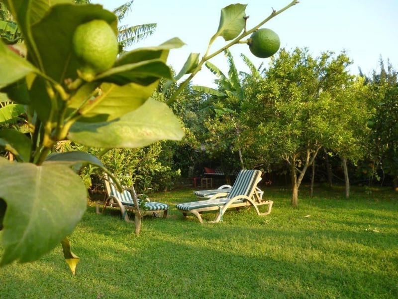 Olympos Oase Hotel — photo 70