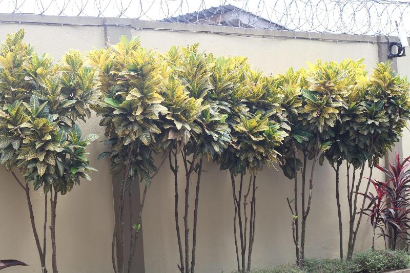 Karibu BB Suites image