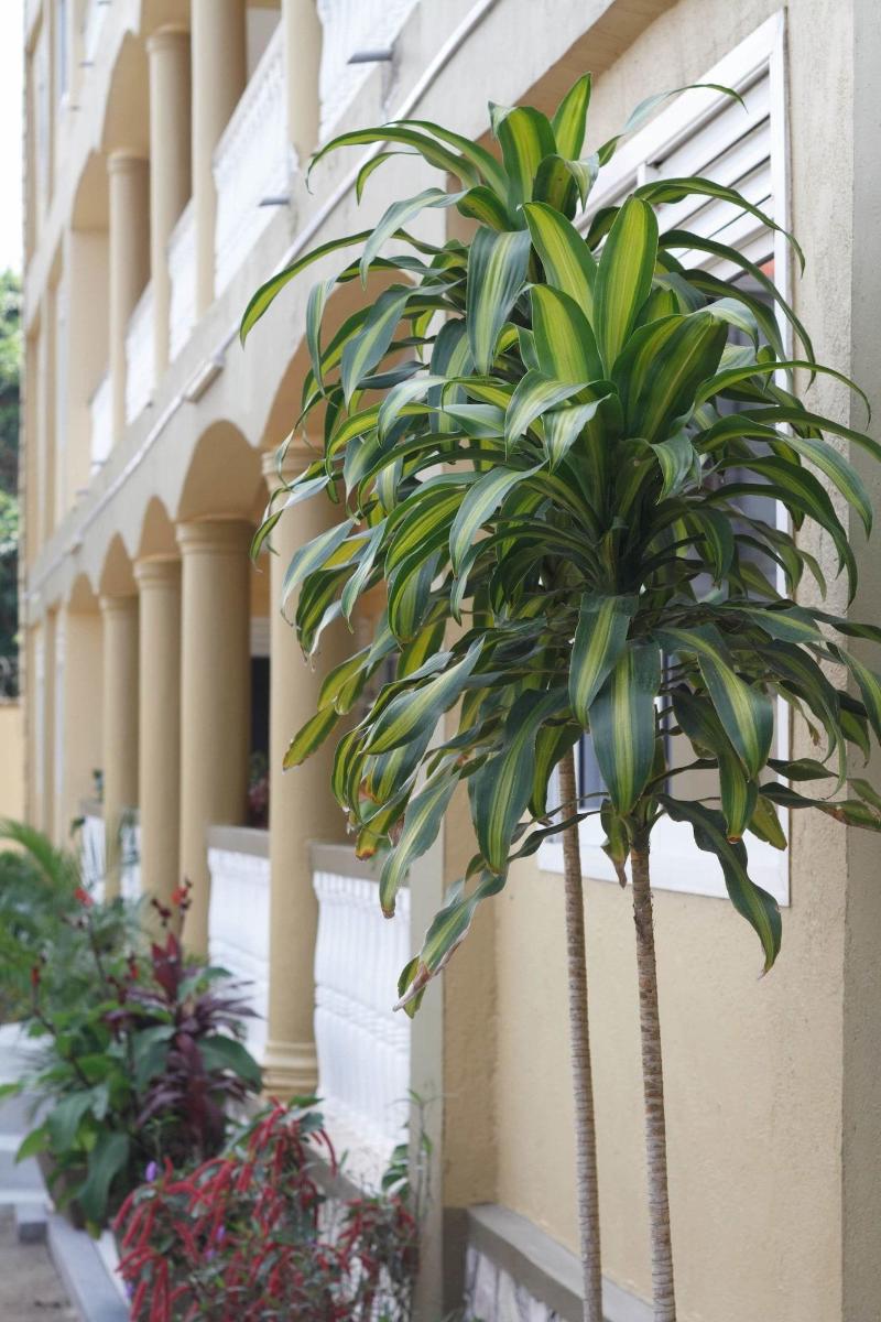 Karibu BB Suites image