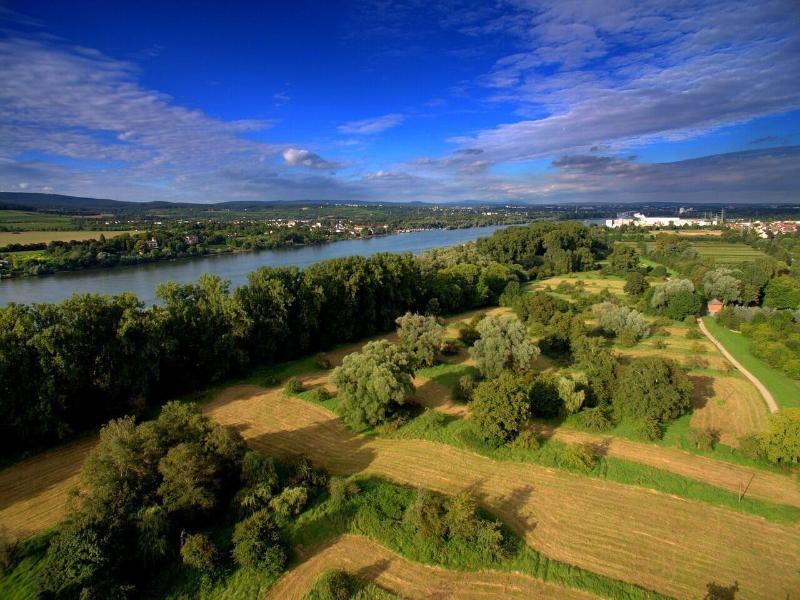 Hotel Kurpfalz image