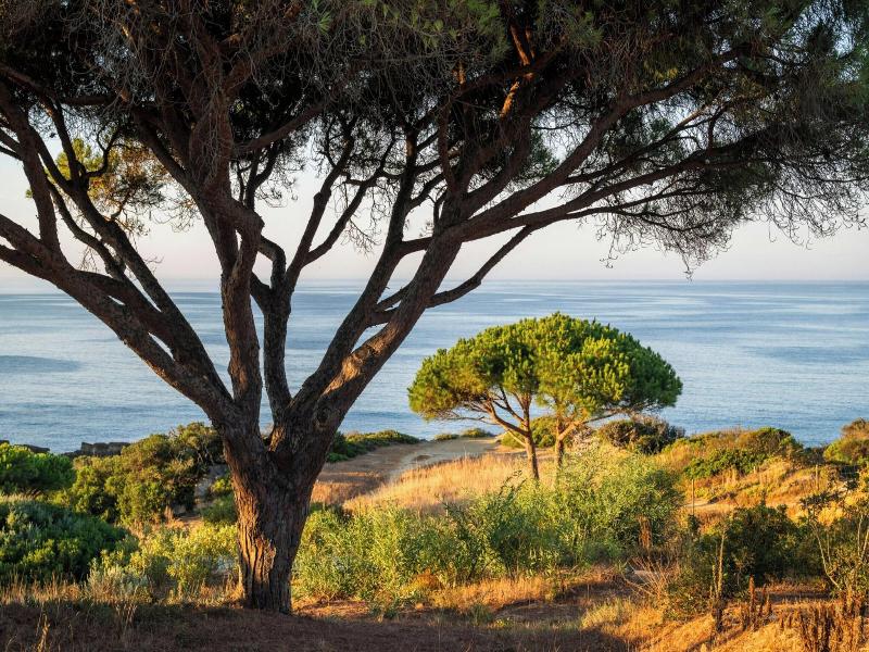 W Residences Algarve image