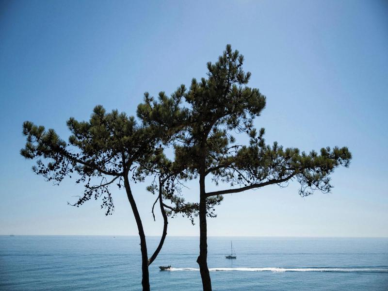 W Residences Algarve image