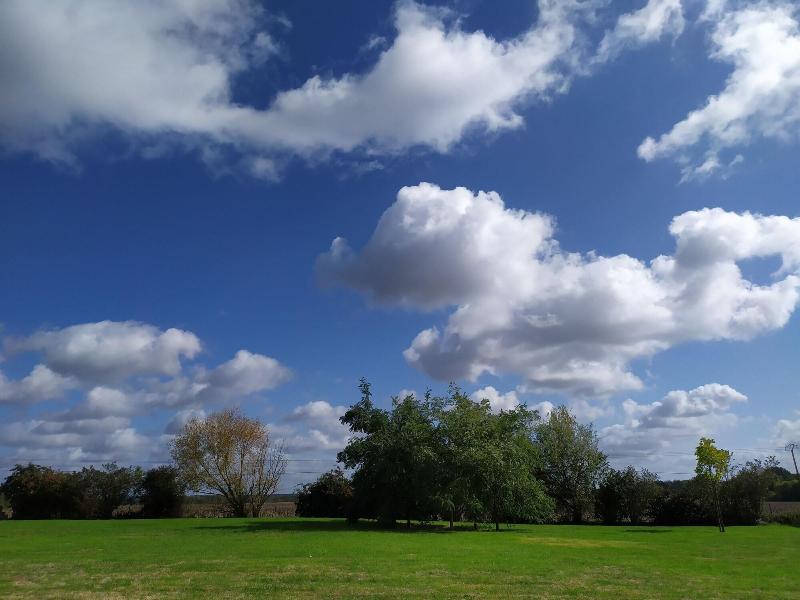 La Halte aux Oiseaux image